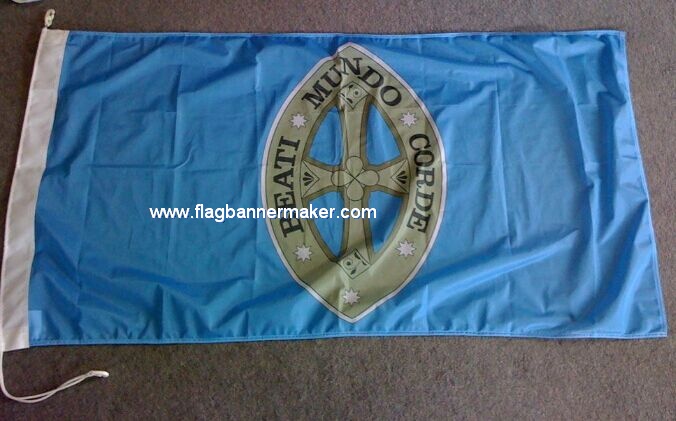 Custom sleeve polyester flags